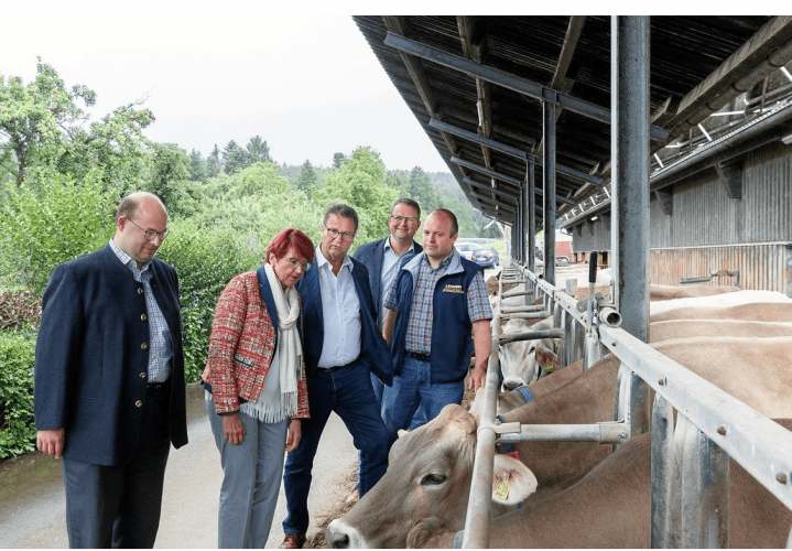 Wahlverhalten im ländlichen Raum