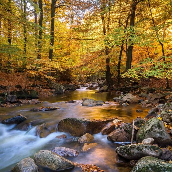 3,64 Millionen Euro für Naturschutz und Umweltbildung