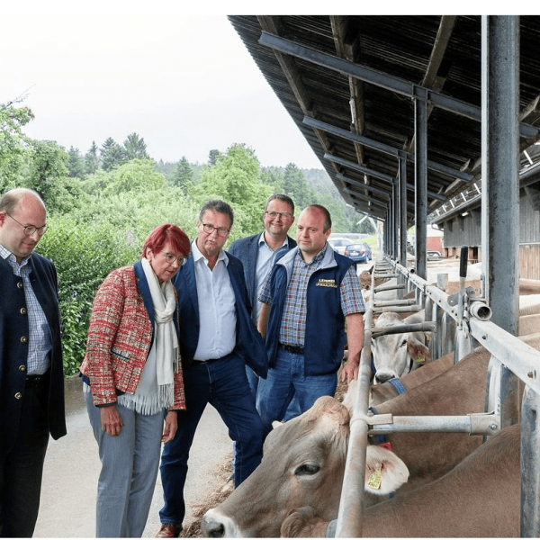 Wahlverhalten im ländlichen Raum